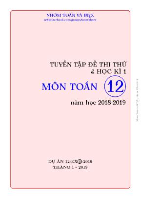 Tuyển tập đề thi thử và học kì 1 môn Toán 12 - Năm học 2018-2019